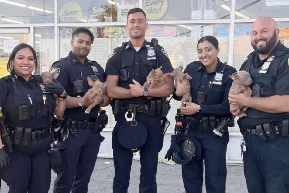 Nach ihrer Rettung durften sich die Welpen Streicheleinheiten von den Polizisten abholen. Einer der kleinen Pitbulls ist nicht im Bild.