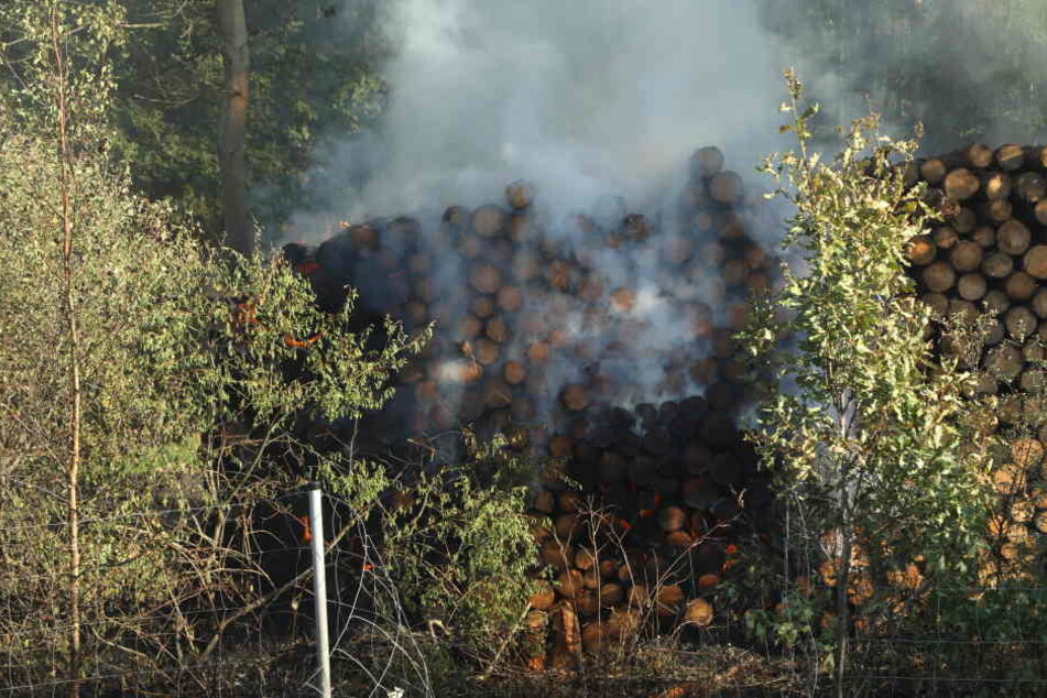 Auf einem Abschnitt von rund 300 Metern brennen an der A4 der Waldboden und ein Holzstapel.