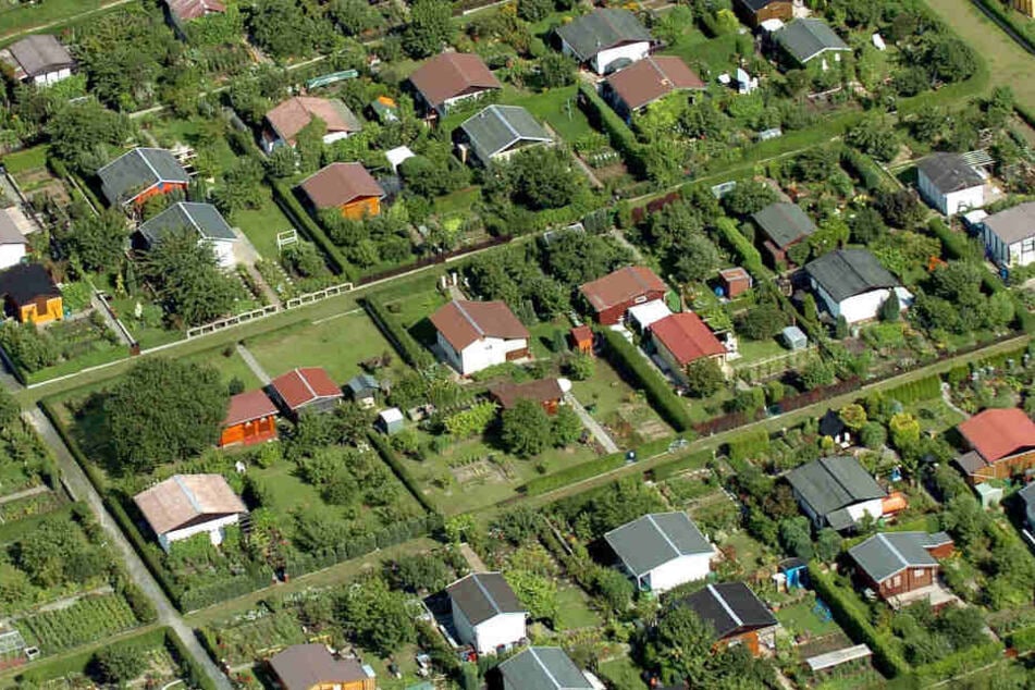 In Sachsen gab es laut Verfassungsschutz im Jahr 2018 insgesamt 44 Fälle, in denen sich Rechte in Gartenparzellen trafen.