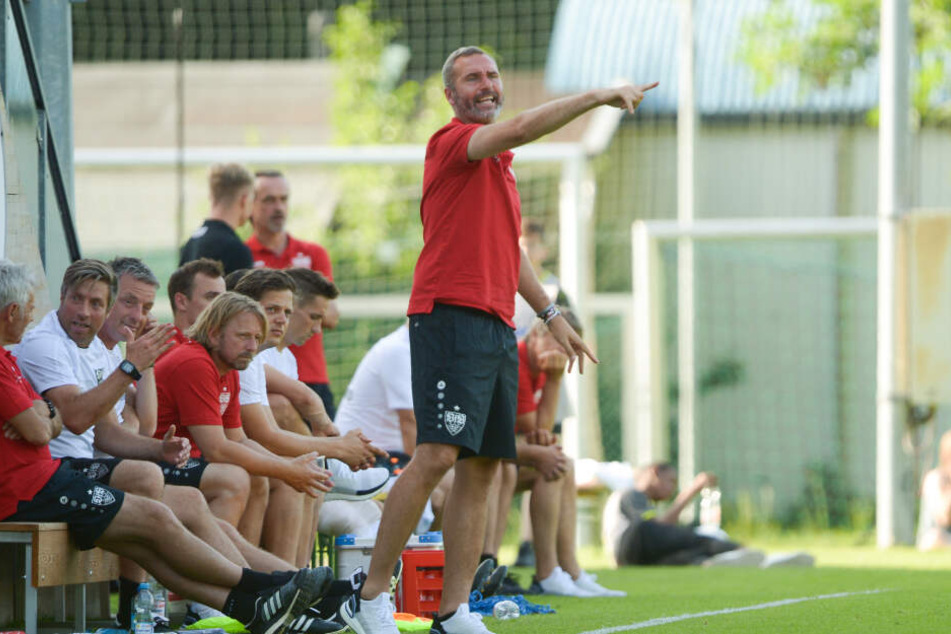 Stuttgarts Trainer Tim Walter gestikuliert neben dem Spielfeld.