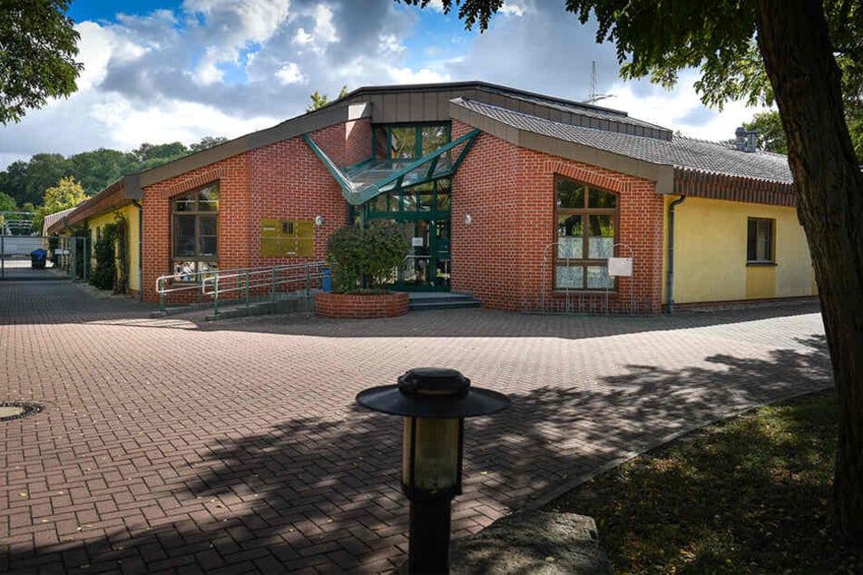 Im Dresdner Tierheim warten 189 Gäste auf ein neues Zuhause.