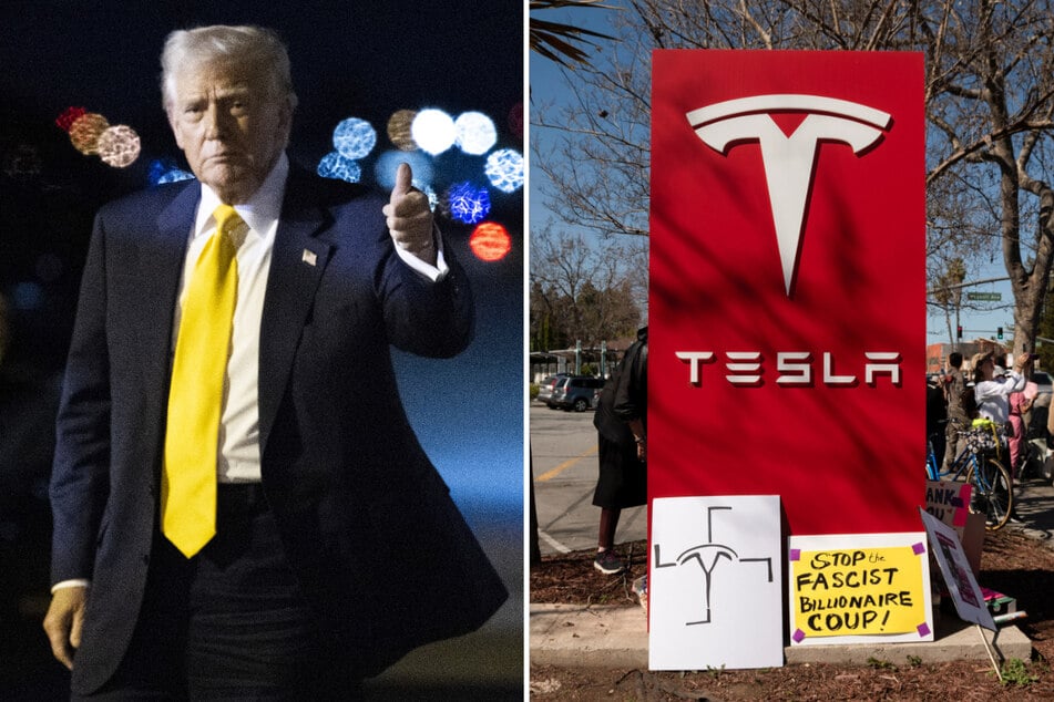 President Donald Trump promised to buy a Tesla car in order to show support to his far-right billionaire ally, Elon Musk.