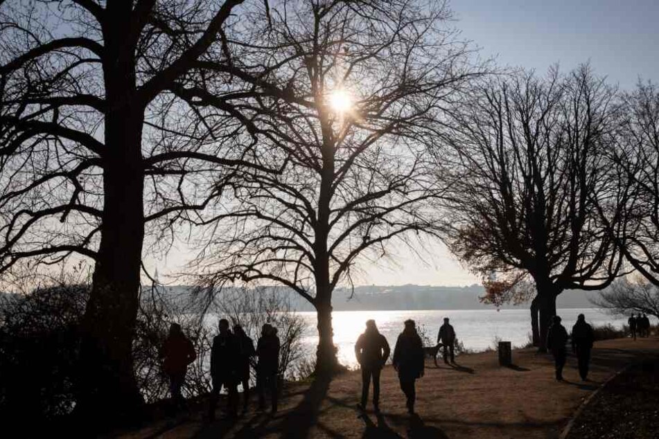 Unter kahlen Bäumen sind Menschen bei Sonnenschein zu einem Spaziergang an der Außenalster unterwegs.
