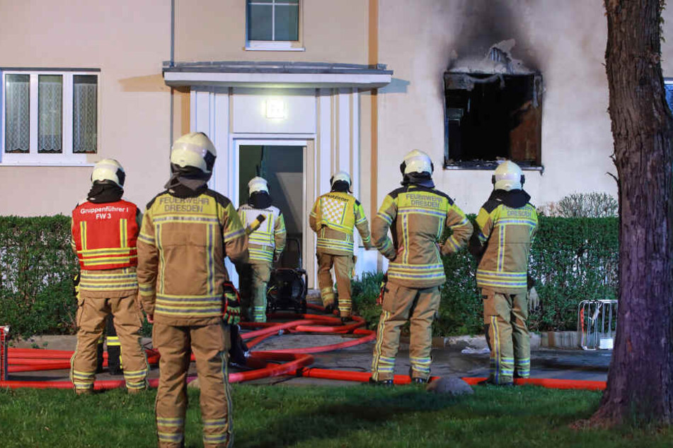 Feuer zerstört ganze Wohnung, Hund stirbt in den Flammen TAG24