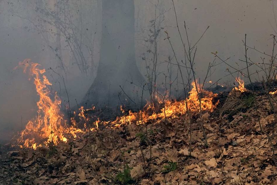 Das Feuer ist mittlerweile zu hundert Prozent gelöscht.