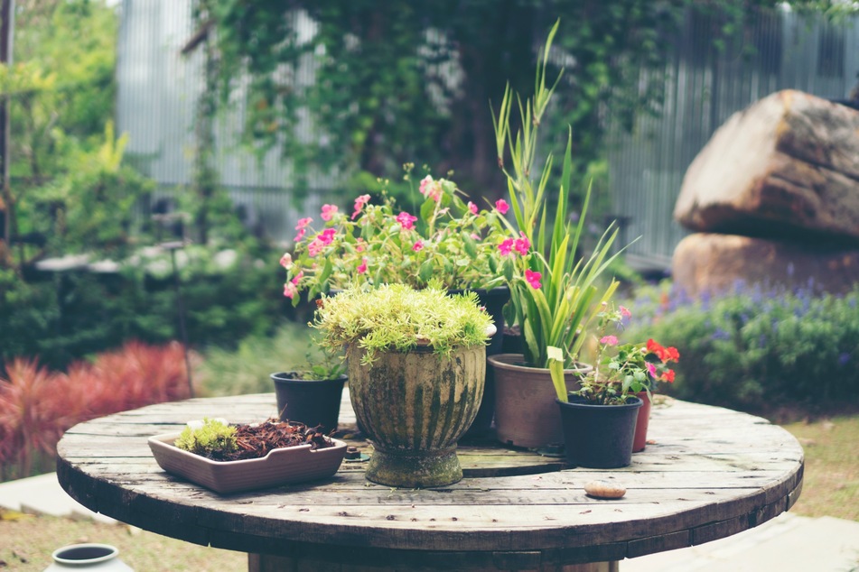 Mit wenigen Deko-Ideen kann man seinen Garten nach Feng-Shui gestalten.