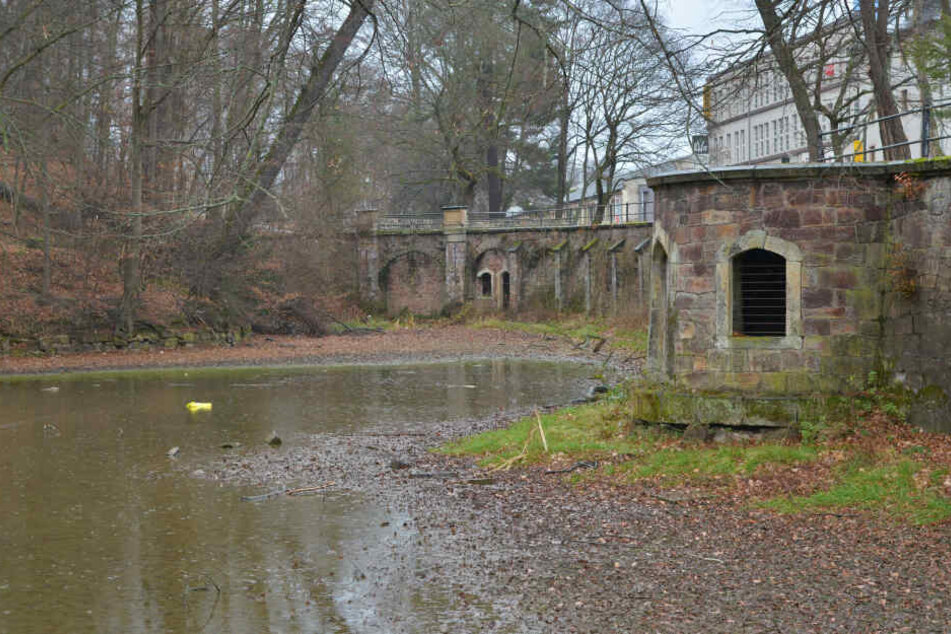 Auf der Wasseroberfläche schwimmt reichlich Unrat.