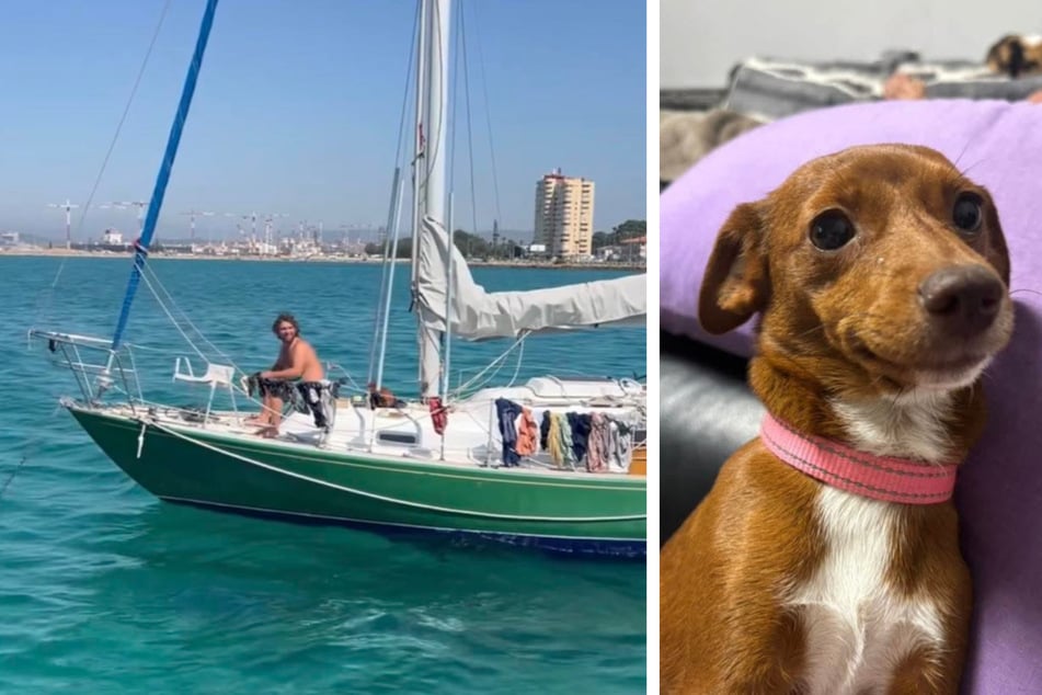 James Nunan (35) wollte mit seinem Hund "Thumbelina" die Welt umsegeln - doch er verschwand plötzlich.