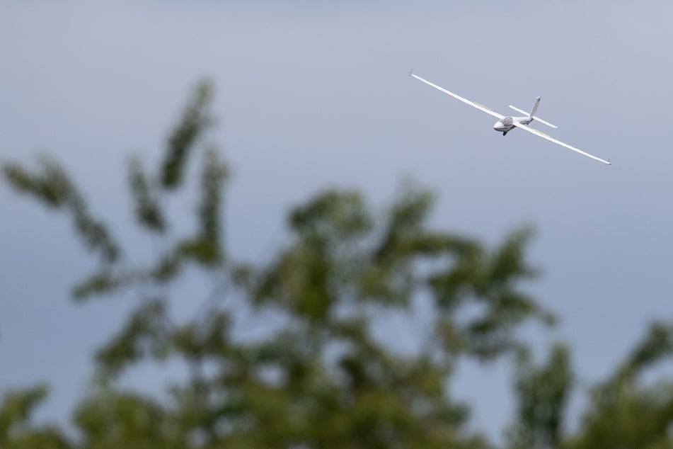 Ein Segelflieger war bei der Landung noch zu schnell und krachte gegen einen Telefonmast und einen Baum. (Symbolbild)