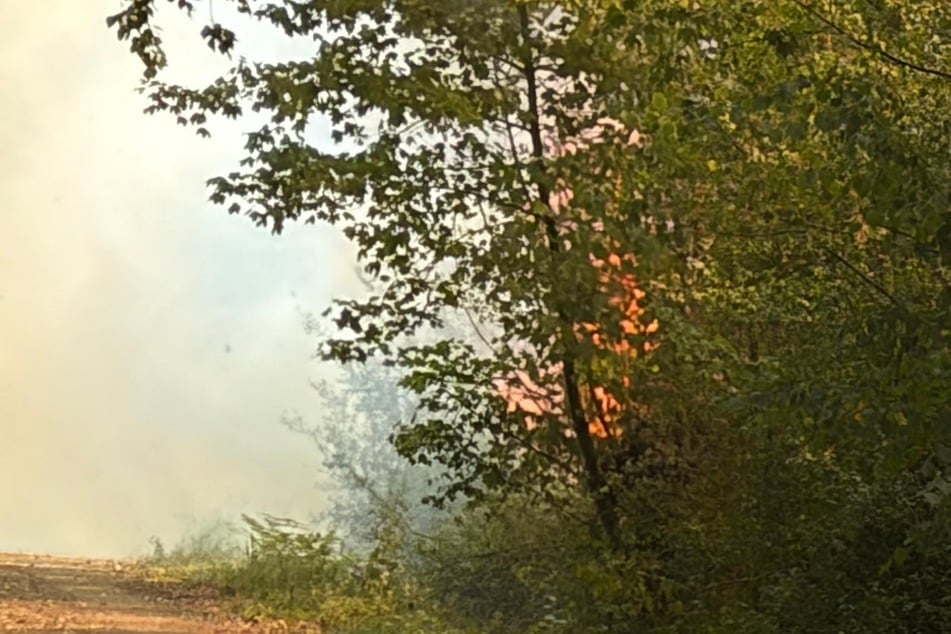 In Bergheim bekämpft die Feuerwehr einen ausgedehnten Wald- und Vegetationsbrand.