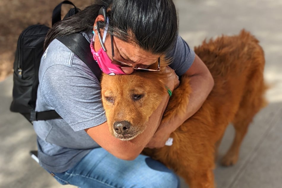 The owner and her dog reunited after seven years of being apart.