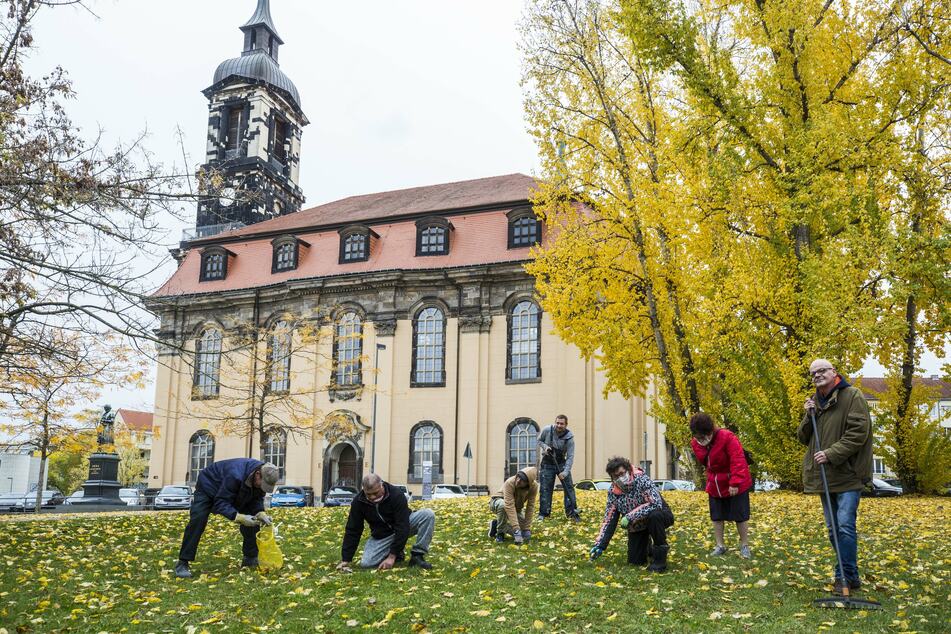 Gemeinsam sind wir stark! Die Teilnehmer des Projekts "Chancen für Chancenlose" stecken Frühblüher auf der Wiese an der Annenkirche in Dresden.
