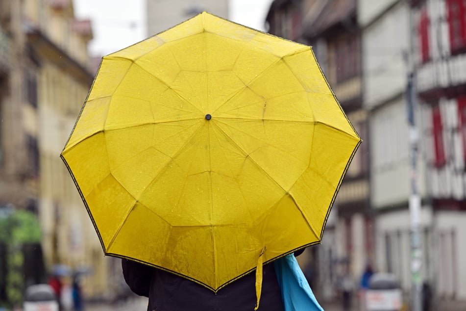 Ein Regenschirm kann im Norden hilfreich sein. (Symbolfoto)