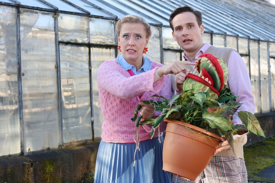 Die Landesbühnen Sachsen feiern 90-jähriges Jubiläum der Felsenbühne in Rathen.