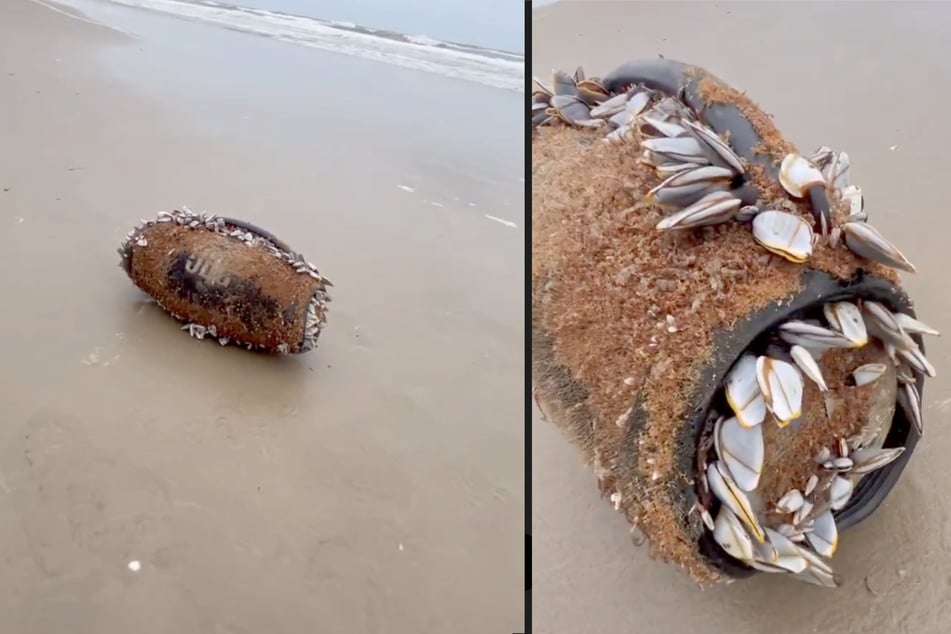 Eine JBL-Box soll monatelang im Meer umhergetrieben sein - und wäre trotzdem noch funktionstüchtig.