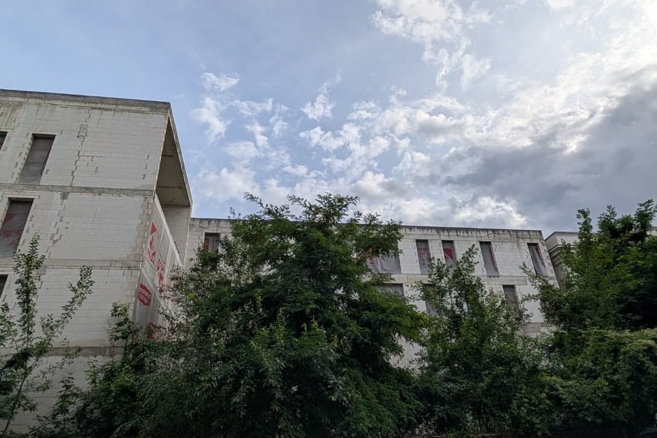 Büsche und Bäume haben die Baustelle mittlerweile eingenommen.