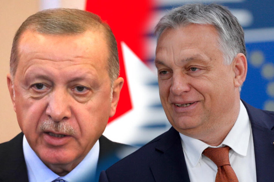 Orban lobt Erdogans Krieg und regt EU-Gelder für die Türkei an