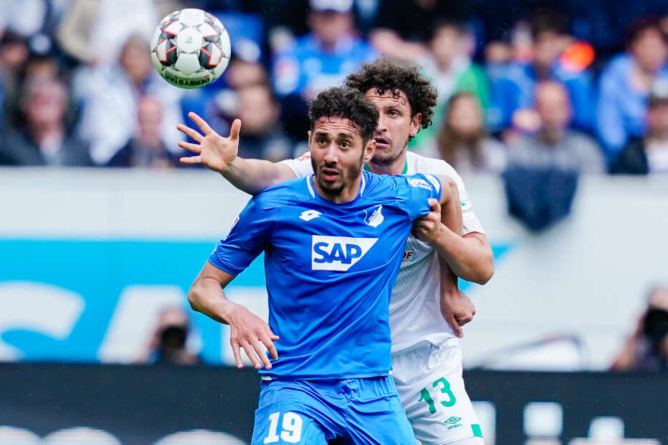 Wer bekommt die Kugel? Hoffenheims Ishak Belfodil (vorne) und Bremens Milos Velijkovic (hinten).