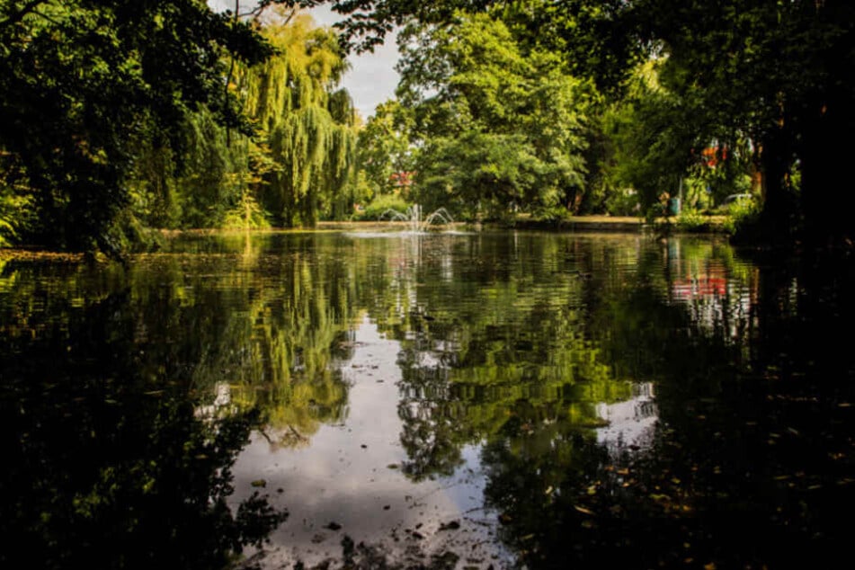 In diesem Weiher treibt der Küken-Killer ein Unwesen.