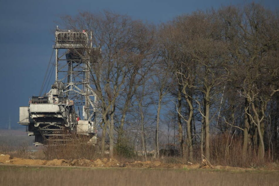 Der Hambacher Forst soll offiziell erhalten bleiben. Das ist eine Kehrtwende in dem jahrelangen Streit zwischen RWE und Aktivisten.