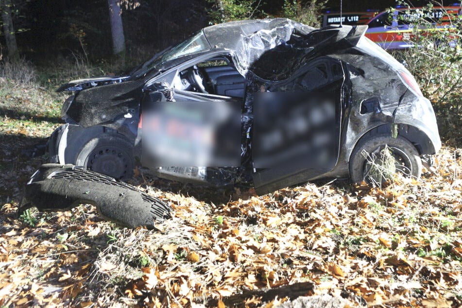 Der Renault war nach der Kollision bei einem Überholmanöver von der Straße abgekommen und im angrenzenden Waldstück gegen einen Baum gekracht.