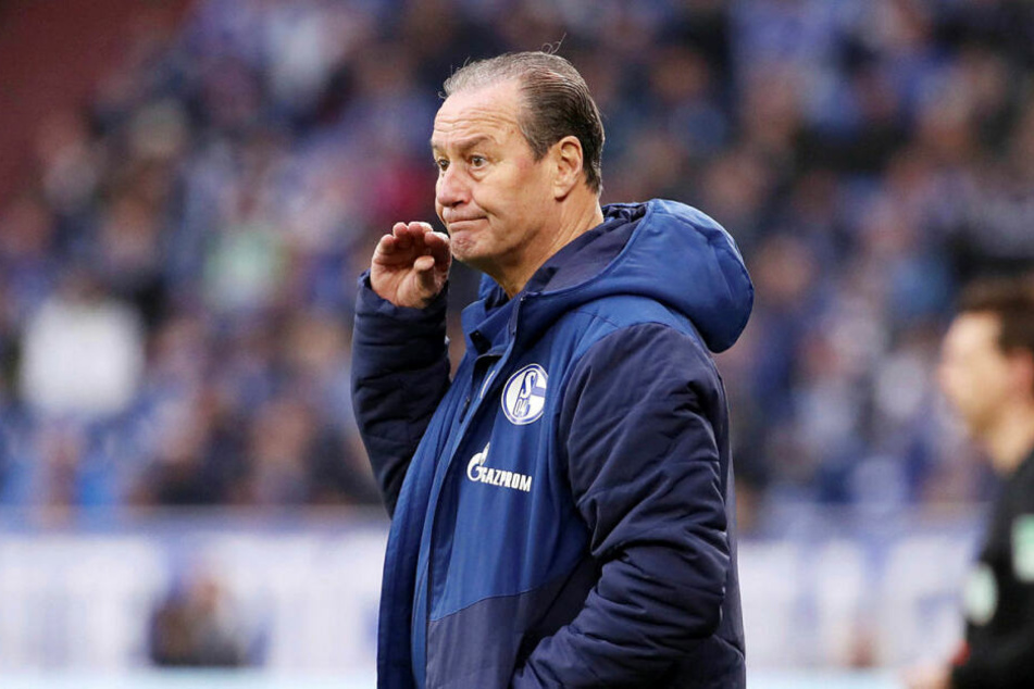 Brachte für S04 zunächst nicht die Wende: Huub Stevens in seiner dritten Amtszeit bei den Königsblauen.