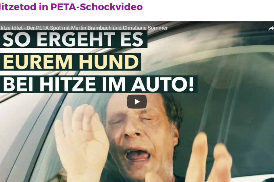Die 2018er PETA-Kampagne ist sehr deutlich.