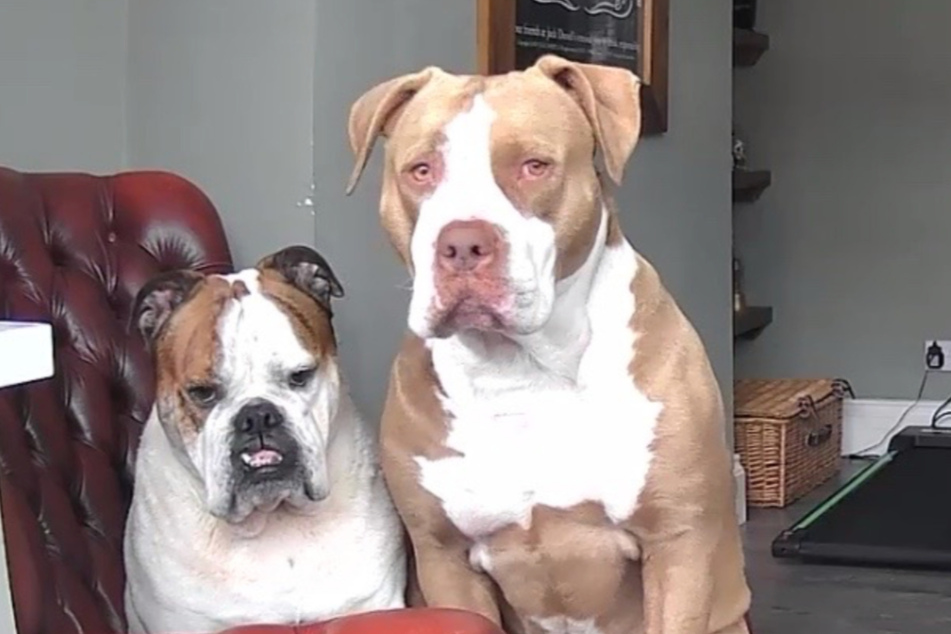 Barbara (l.) und Lenny schauen ganz unglücklich in die Kamera.