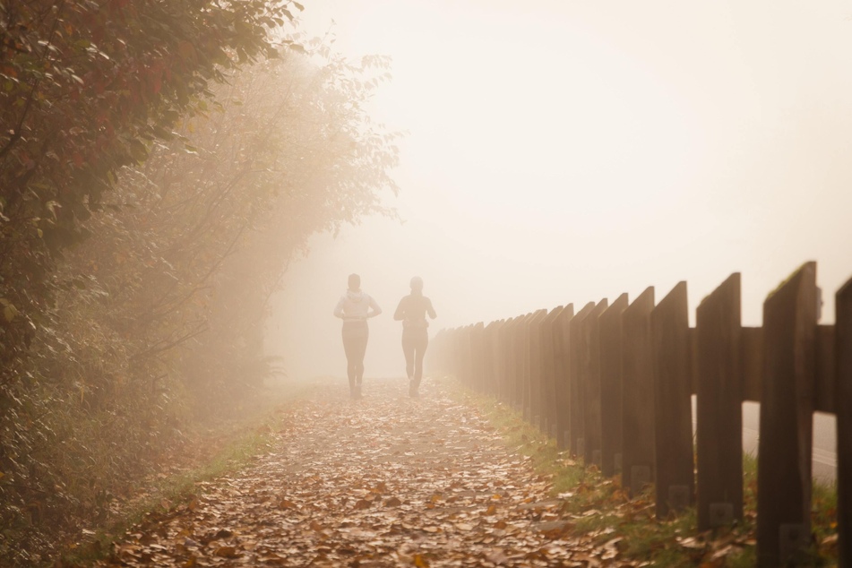 Eine Joggingrunde, Nordic Walking oder ein strammer Spaziergang kurbeln den Kreislauf an - so bleibt man im Herbst gesund.