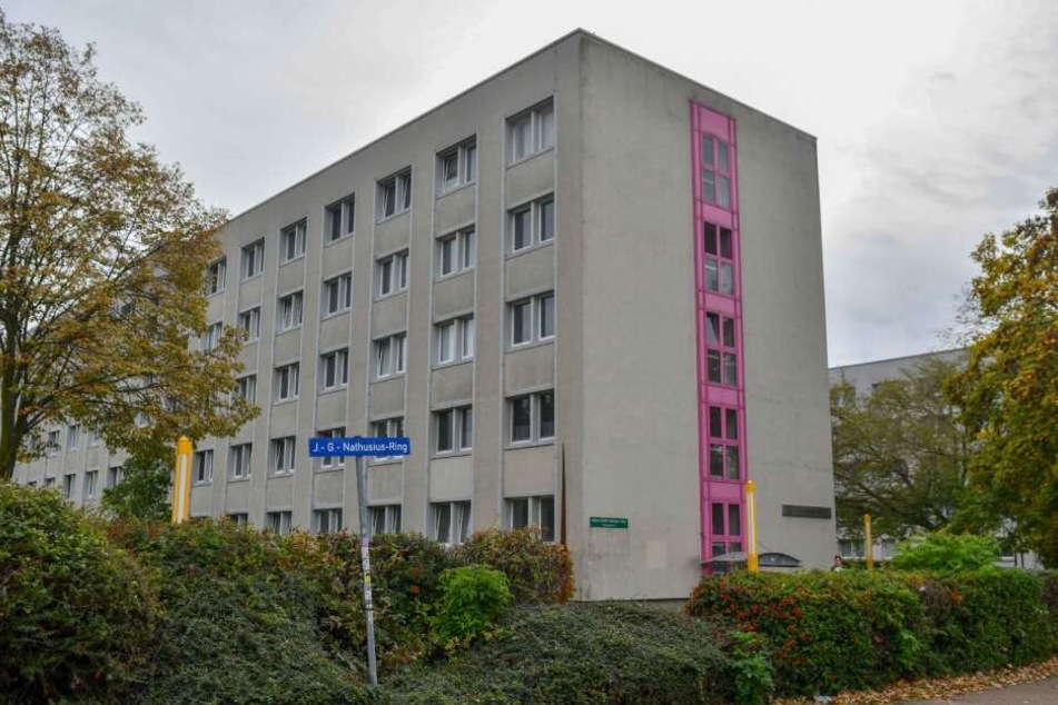 Waschbecken wurden verstopft und die Wasserhähne aufgedreht sowie ein Feuerlöscher im Partyraum entleert.