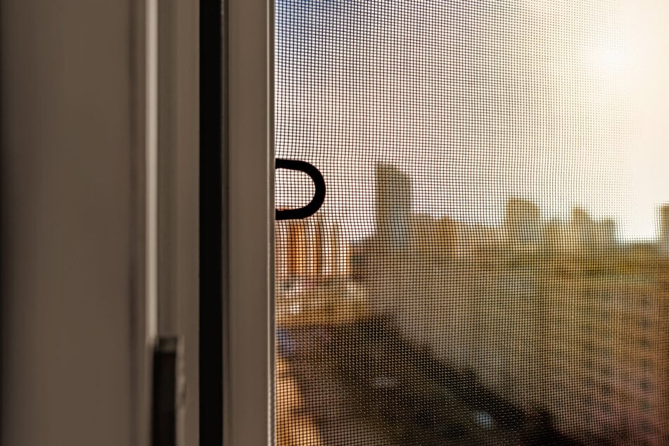 Die Studentin stürzte bei geöffnetem Fenster durch ein Fliegengitter. (Symbolfoto)