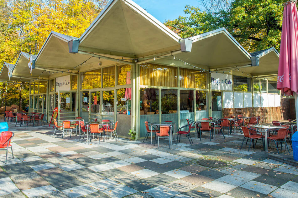 So sah das Café im Zoo kurz vor der Einlagerung aus. (Archivfoto)
