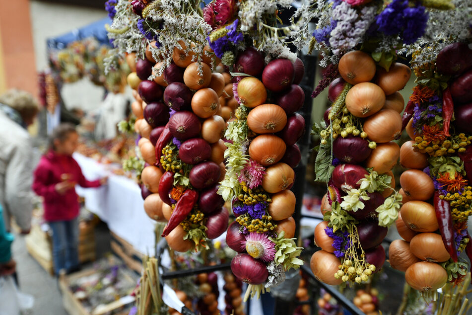 Zwiebelzöpfe hängen an einem Marktstand auf dem 366. Weimarer Zwiebelmarkt.