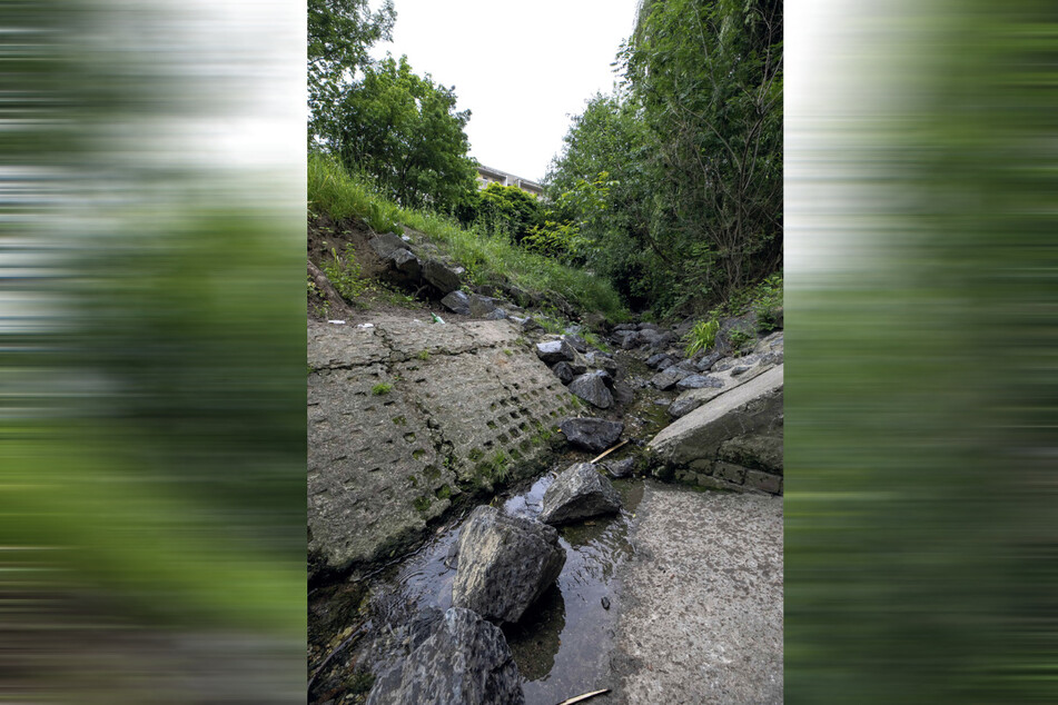 Der Gorbitzbach führt nur noch sehr wenig Wasser.