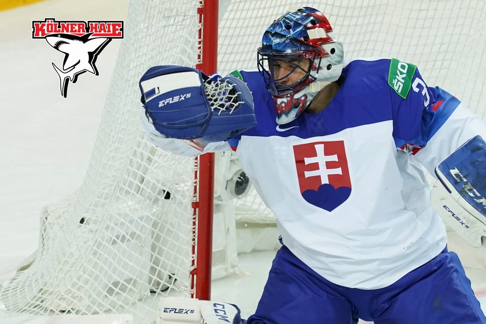 Nach Fehlstart: Kölner Haie verpflichten neuen Torhüter!