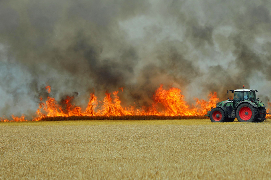 Auf einem Feld in der Nähe der A19 ist am Sonntag ein Großbrand ausgebrochen. Der Verkehr musste zwischenzeitlich gestoppt werden.