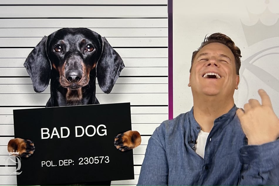 Guido hat gut lachen: Der Hund der Shopping-Begleitung hat ein Häufchen gemacht.