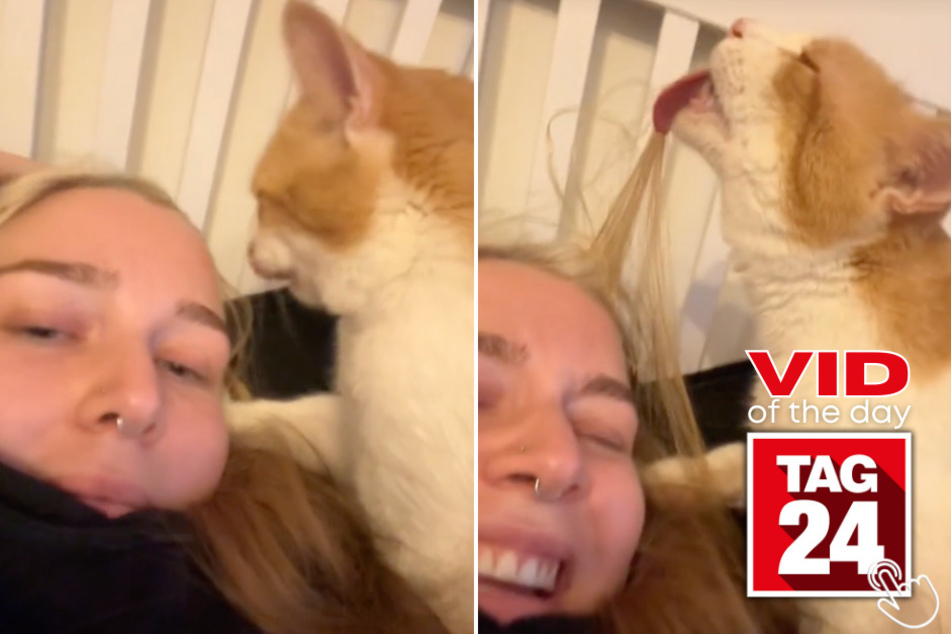 Today's Viral Video of the Day features a cat's interesting taste in snacks.