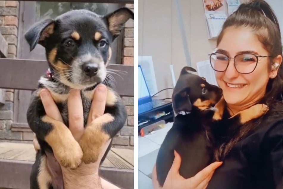 Puppy's reaction to bath time breaks the internet's heart