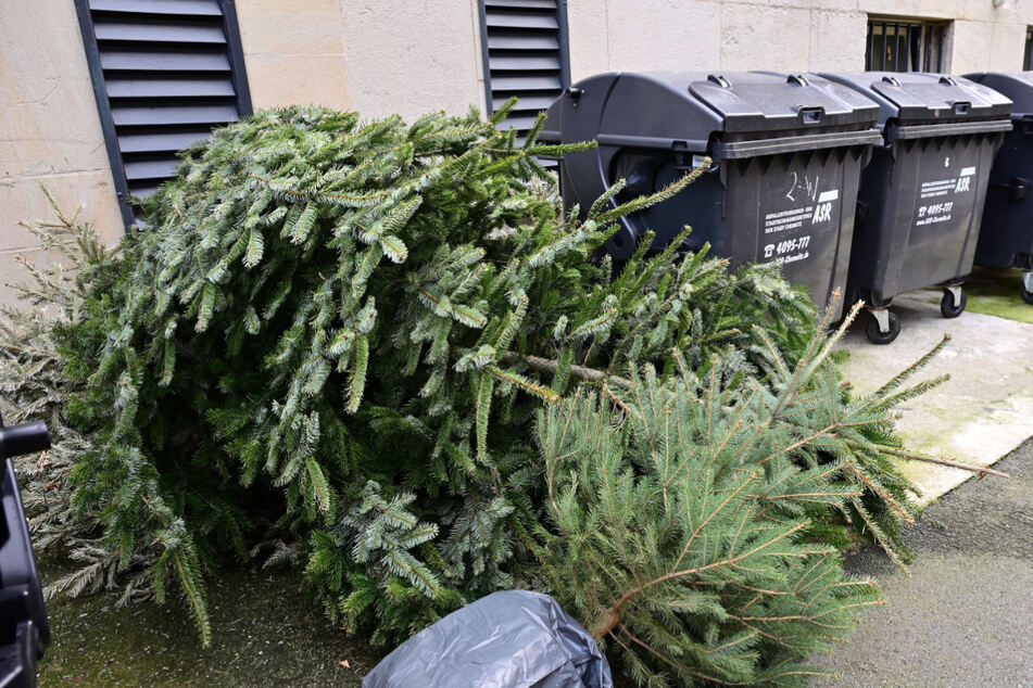 Die ersten Weihnachtsbäume türmen sich schon neben den Mülltonnen. Abgeholt werden sie ab dem 10. Januar.