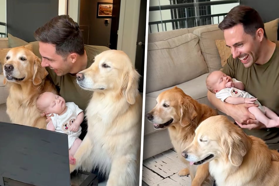 Baby, Golden Retriever und Papa sitzen zusammen: Was sie dann tun, lässt Herzen schmelzen