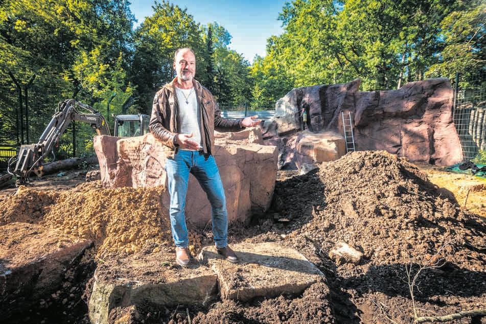 Thomas Paarmann (53), Vorstandsvorsitzender der "Tierparkfreunde Chemnitz", hofft auf viele neue Besucher.