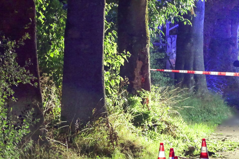 Mit zwei Bäumen soll der Fahranfänger (18) bei dem Unfall kollidiert sein.