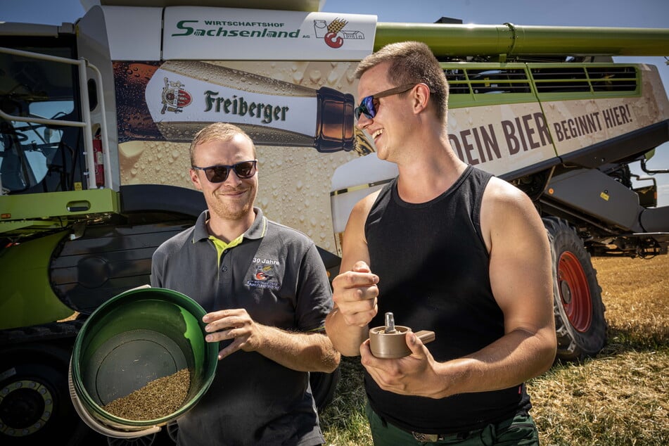 Bevor der Bier-Drescher losrollt, haben die Landwirte Stefan Wunderlich (28) und Paul Schettler (23) den Feuchtegehalt der Gerste geprüft.