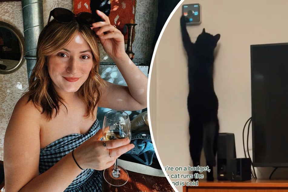 Besitzerin will Heizkosten sparen, doch ihre Katze hat andere Pläne