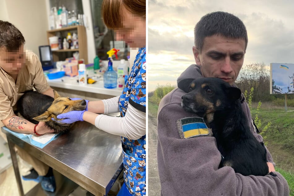Bereits 15.000 Tiere seit Kriegsbeginn in Ukraine gerettet: Diesen Appell richtet PETA jetzt an die Deutschen