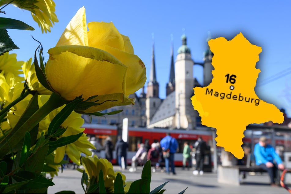 Frühlingswetter in Sachsen-Anhalt!