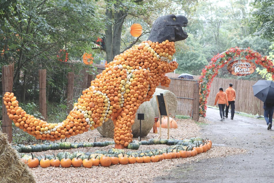 Sogar Dinosaurier aus Kürbissen sind im Freizeitpark "Oskarshausen" zu sehen.