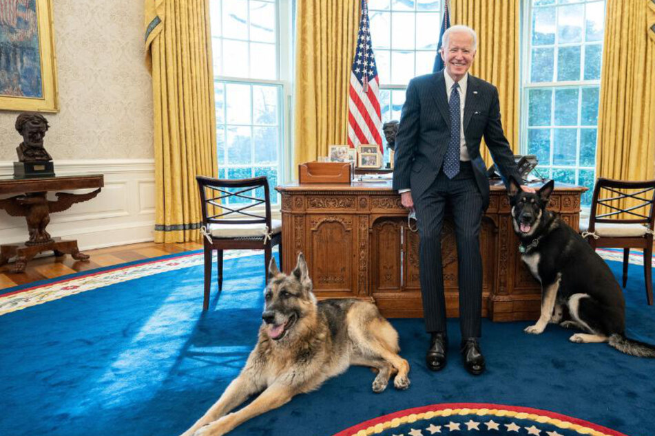 Besonderes Privileg für Bidens Hunde: Davon können selbst leitende Angestellte nur träumen