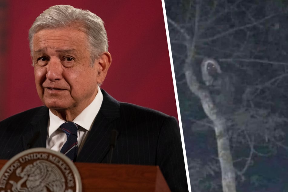 Andrés Manuel López Obrador (69) postete das rechte Bild auf Twitter. Es soll einen Alux, einen Naturgeist der Maya, darstellen.
